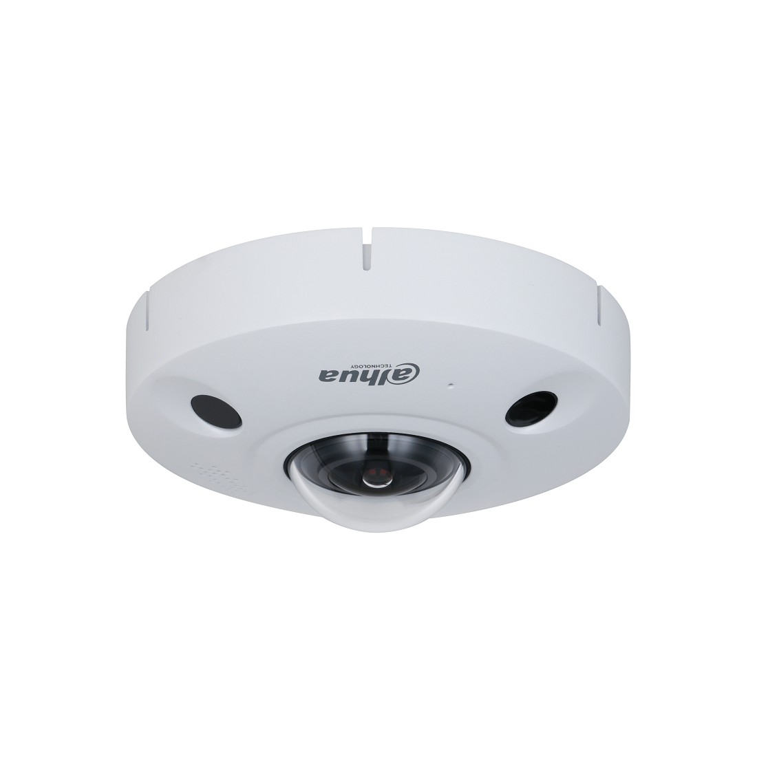 D-IPC-EBW81242-AS-IVC-S2