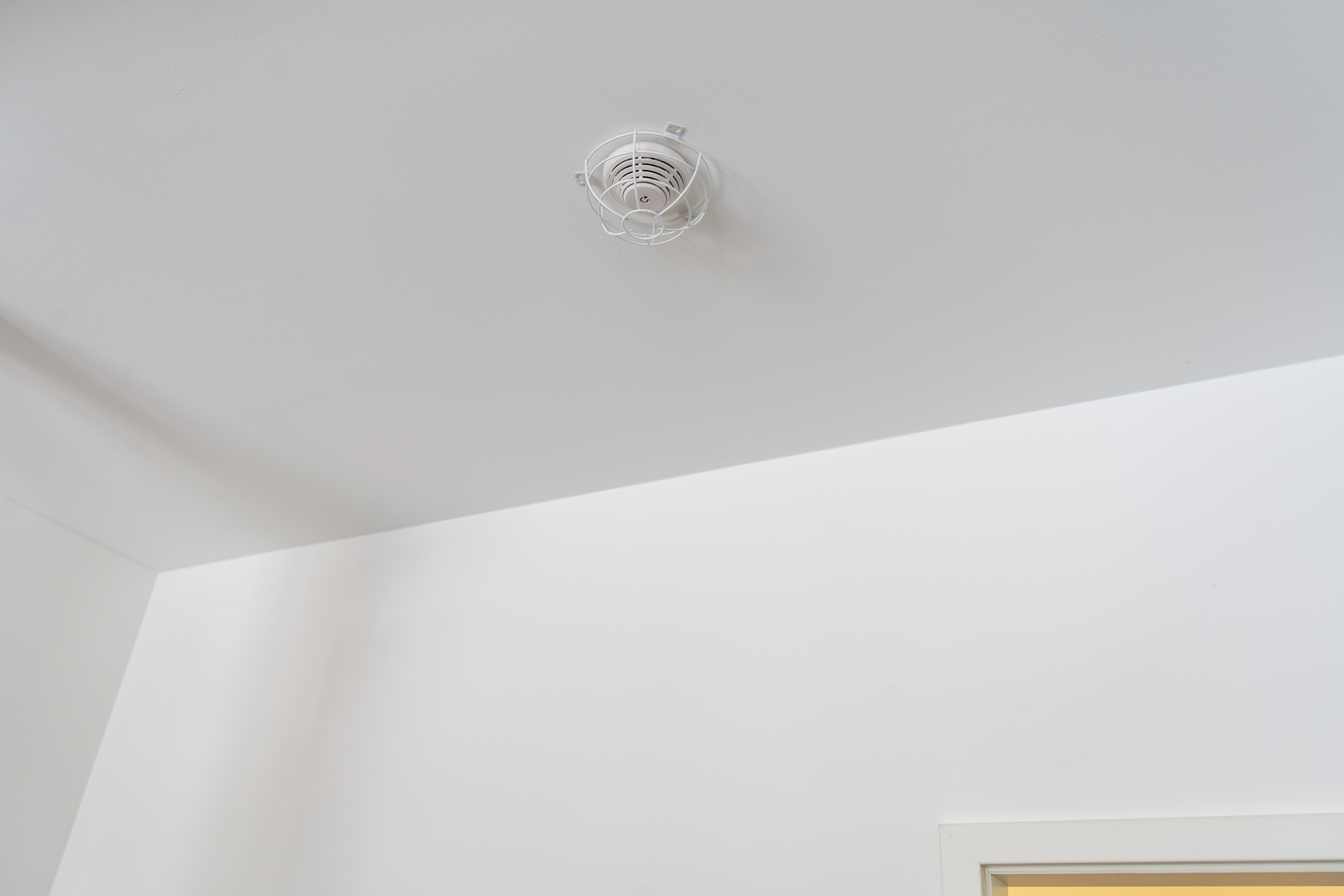 EPS SK 5114 Schutzkorb Detailansicht Bild 4 | EPS