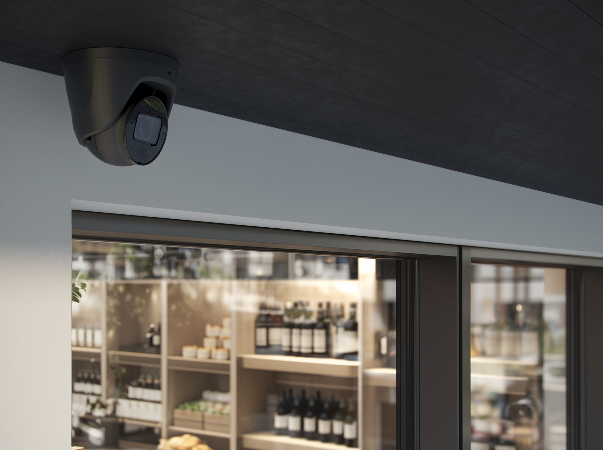 TurretCam HLVF (8 Mp) Schwarz