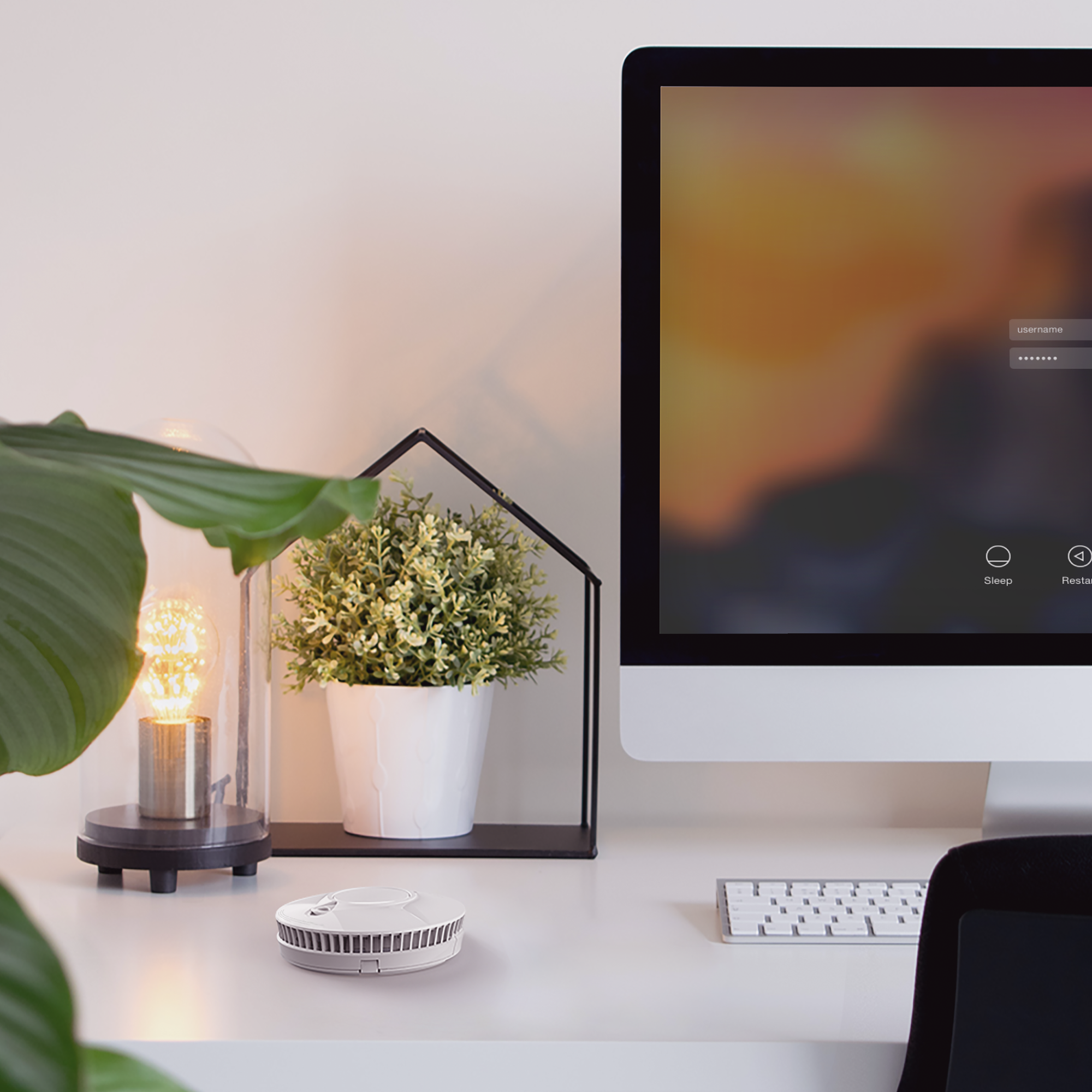 FireAngel SM-F-1EU Rauchwarnmelder 230 V Detailansicht Bild 10 | EPS