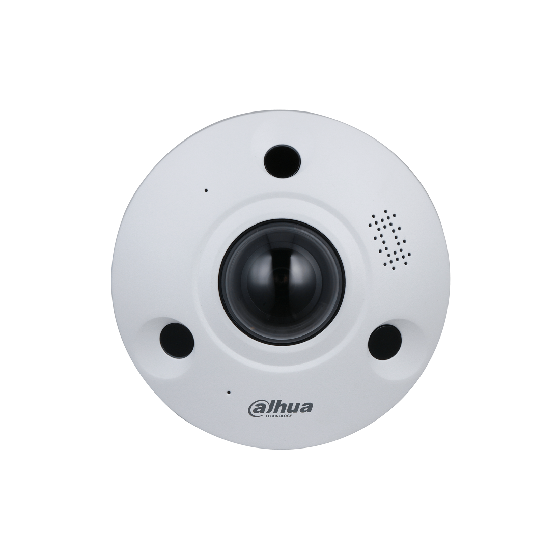 D-IPC-EBW81242-AS-IVC-S2