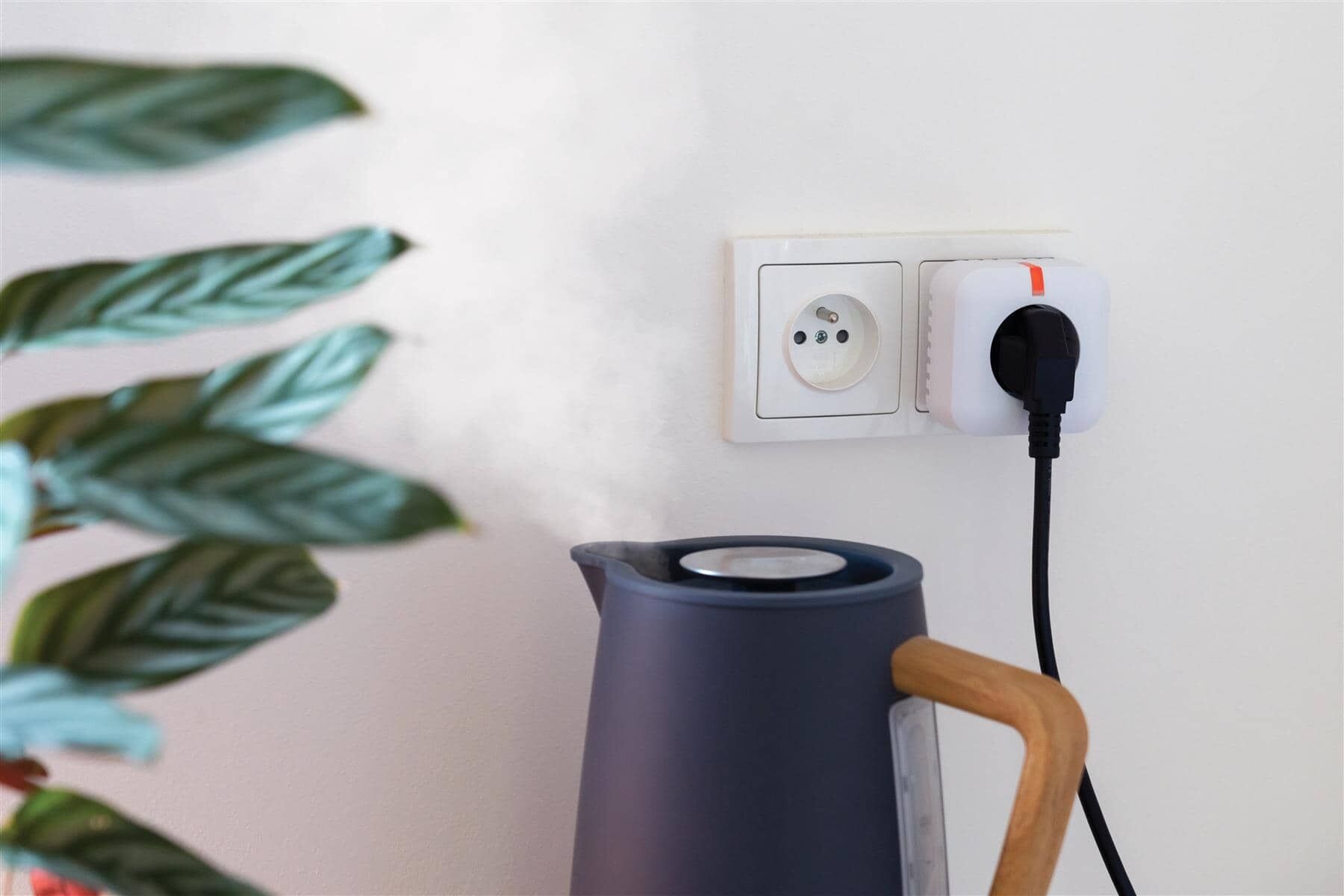 EPS Alarm/Video/Brand Systems Adapter, Elektronik, Stecker