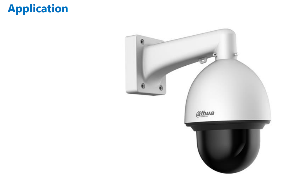 D-PFB310W